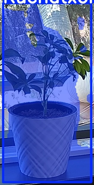 TREE-000013_20260623_121305.jpg