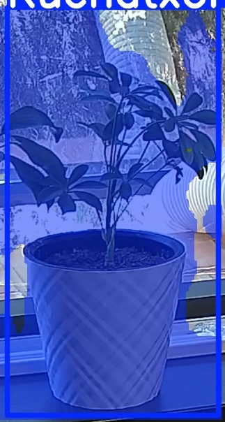 TREE-000013_20260623_121347.jpg