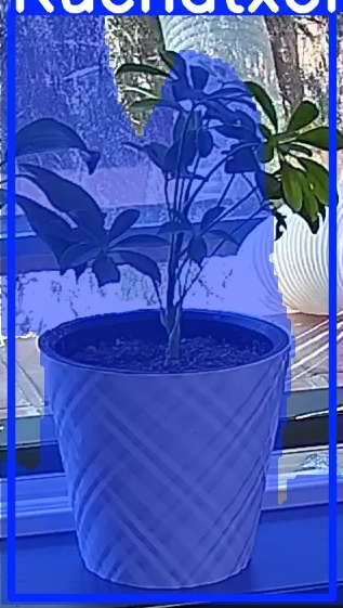 TREE-000013_20260623_121422.jpg