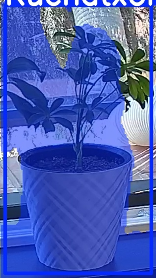 TREE-000013_20260623_121502.jpg