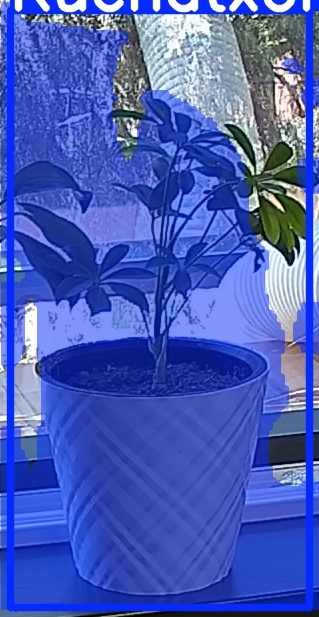 TREE-000013_20260623_121810.jpg