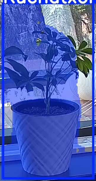 TREE-000013_20260623_121920.jpg