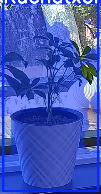 TREE-000013_20260623_122033.jpg