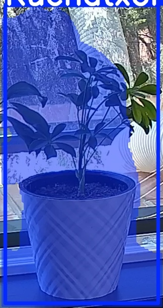TREE-000013_20260623_122147.jpg