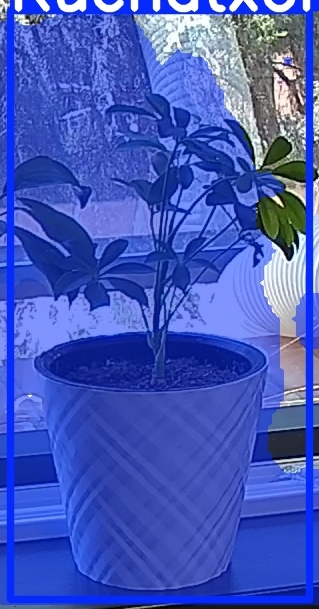 TREE-000013_20260623_122257.jpg