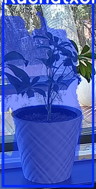 TREE-000013_20260623_122518.jpg