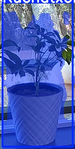 TREE-000013_20260623_122631.jpg