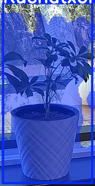 TREE-000013_20260623_122742.jpg