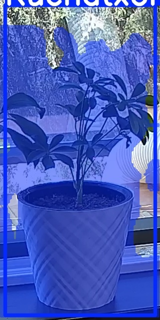 TREE-000013_20260623_122853.jpg