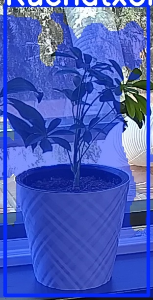 TREE-000013_20260623_123002.jpg