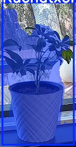 TREE-000013_20260623_123131.jpg