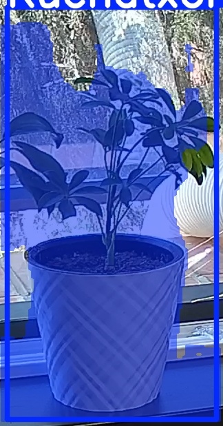 TREE-000013_20260623_123149.jpg