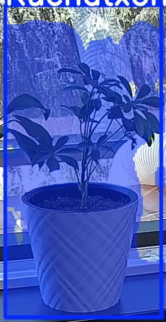 TREE-000013_20260623_123240.jpg