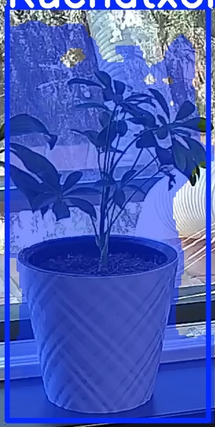 TREE-000013_20260623_123357.jpg