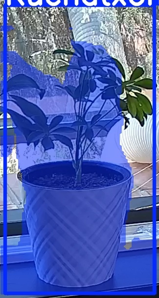 TREE-000013_20260623_123506.jpg