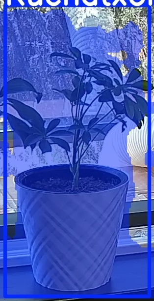 TREE-000013_20260623_123727.jpg