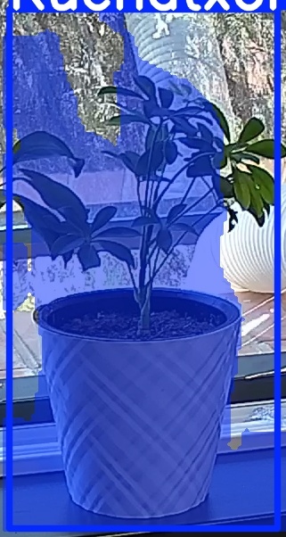 TREE-000013_20260623_123835.jpg