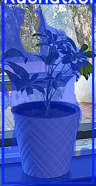 TREE-000013_20260623_123945.jpg