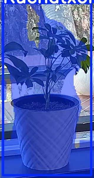TREE-000013_20260623_124052.jpg