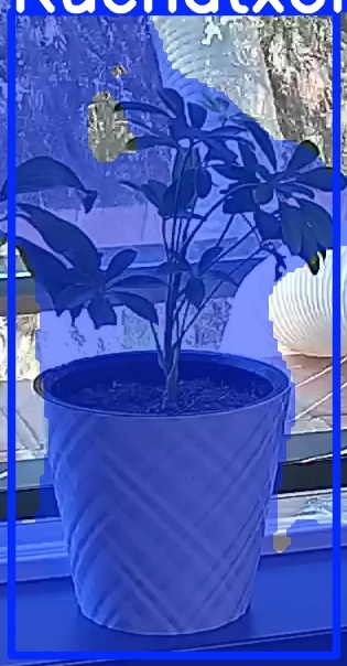 TREE-000013_20260623_124159.jpg
