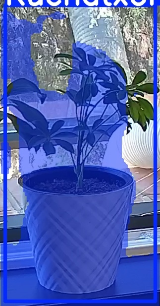 TREE-000013_20260623_124309.jpg