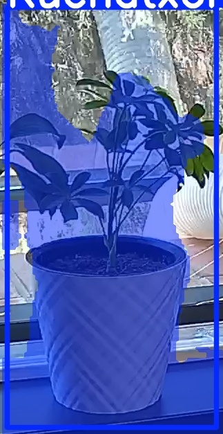 TREE-000013_20260623_124419.jpg