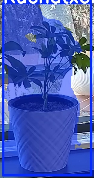TREE-000013_20260623_124526.jpg
