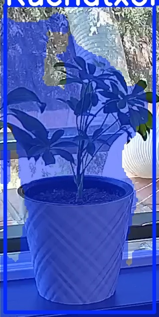 TREE-000013_20260623_124631.jpg