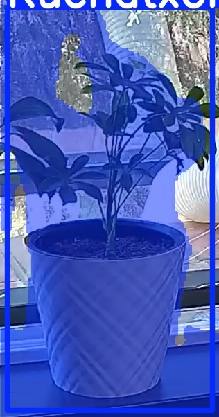 TREE-000013_20260623_124704.jpg