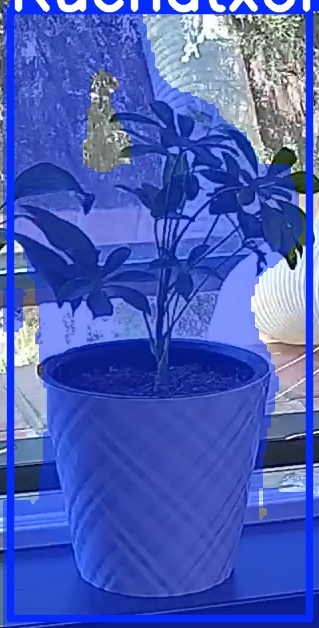 TREE-000013_20260623_124718.jpg