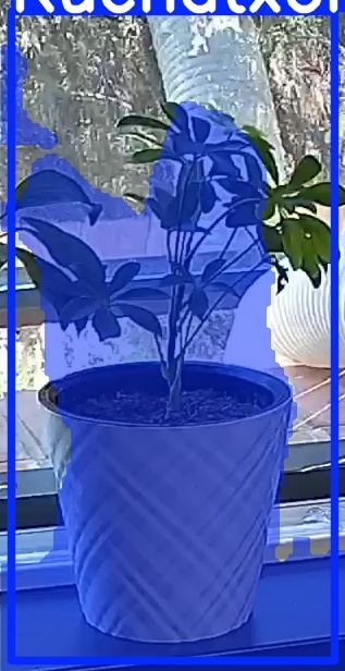 TREE-000013_20260623_124753.jpg