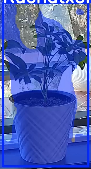 TREE-000013_20260623_124900.jpg