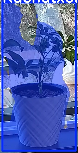 TREE-000013_20260623_125153.jpg