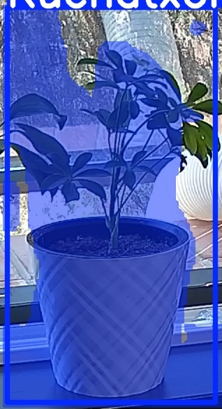 TREE-000013_20260623_125306.jpg