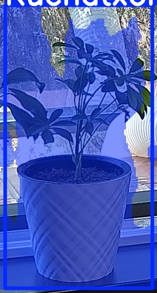TREE-000013_20260623_125417.jpg