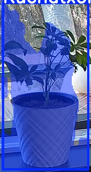 TREE-000013_20260623_125533.jpg