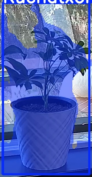 TREE-000013_20260623_125650.jpg