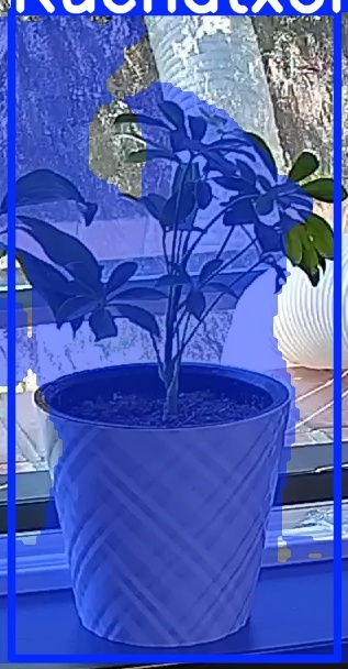 TREE-000013_20260623_125759.jpg