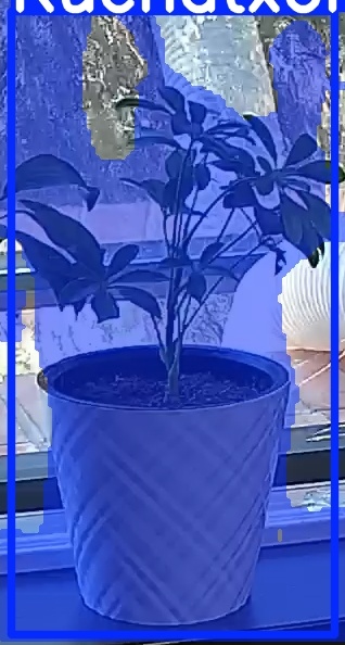 TREE-000013_20260623_125909.jpg