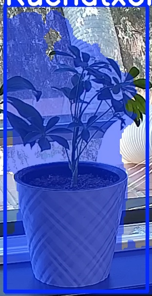 TREE-000013_20260623_130018.jpg