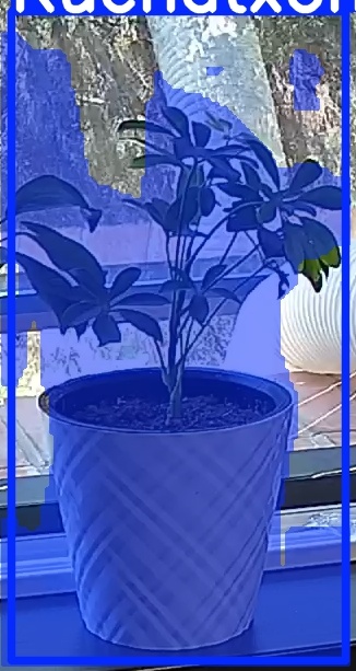 TREE-000013_20260623_130247.jpg
