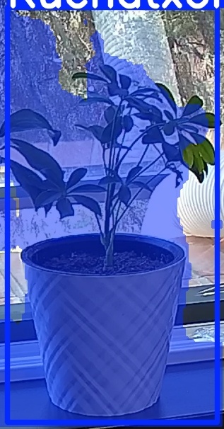 TREE-000013_20260623_130617.jpg