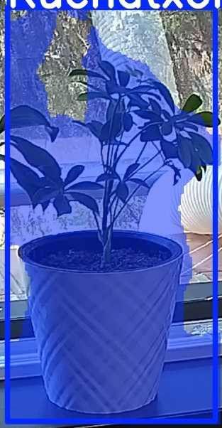 TREE-000013_20260623_130728.jpg