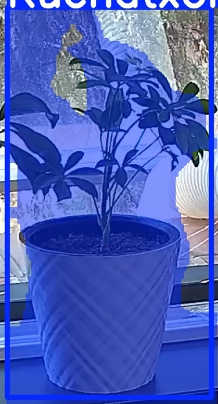 TREE-000013_20260623_130835.jpg