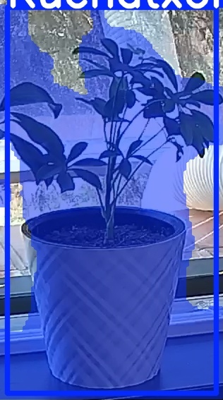 TREE-000013_20260623_130943.jpg