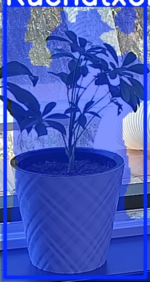 TREE-000013_20260623_131050.jpg