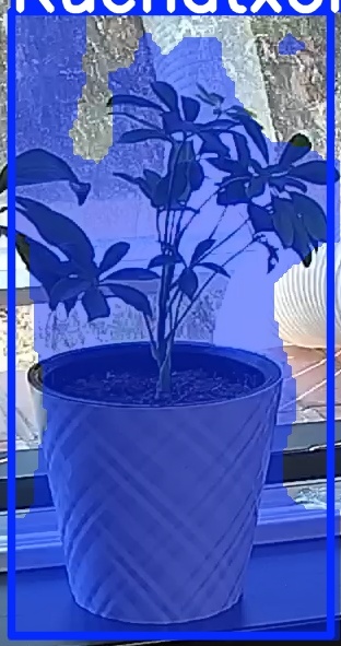 TREE-000013_20260623_131201.jpg