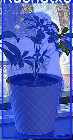 TREE-000013_20260623_131310.jpg
