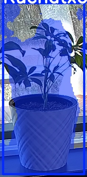 TREE-000013_20260623_131421.jpg