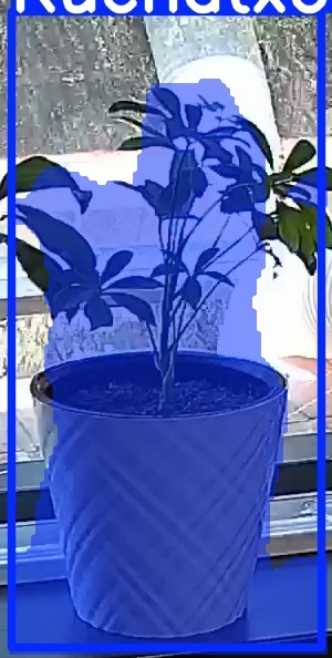 TREE-000013_20260623_131640.jpg